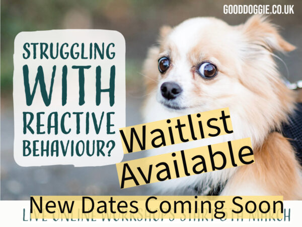 Reactive Dog Behaviour, Live Online Workshops