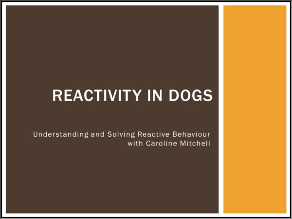 How to Solve Reactive Dog Behaviour course screenshot showing the title screen