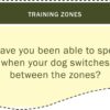 Learn how to adopt and settle a rescue dog course screenshot asking have you been able to spot when your dog switches between zones