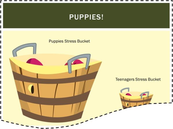 Learn how to adopt and settle a rescue dog course screenshot of two buckets representing the amount of stress a dog can handle. The puppy bucket is very large compared to a very small bucket for the teenager.