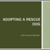Learn how to adopt and settle a rescue dog course title screen screenshot