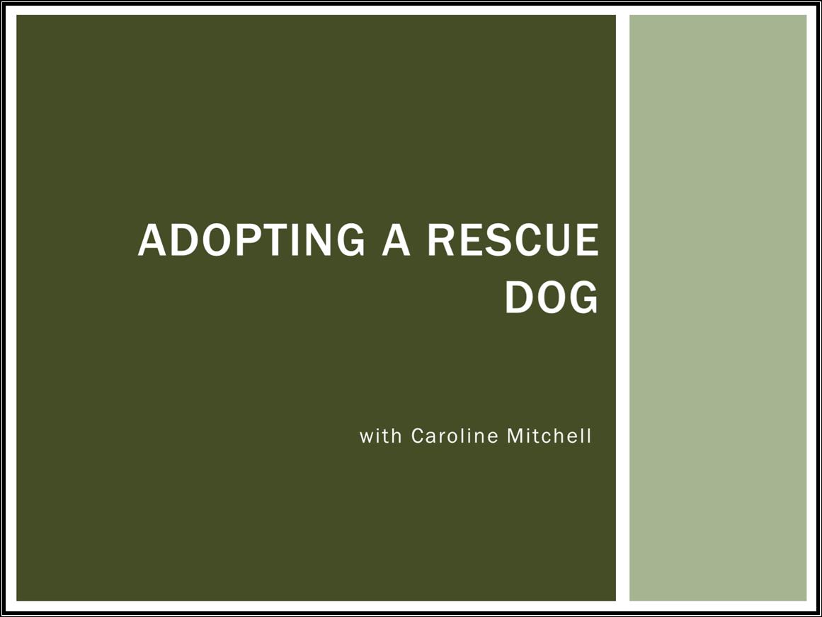 Learn how to adopt and settle a rescue dog course title screen screenshot