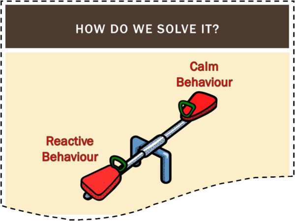 How to Solve Reactive Dog Behaviour course screenshot showing a see saw representing reactive behaviour and calm behaviour