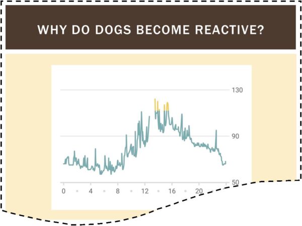 How to Solve Reactive Dog Behaviour course screenshot showing a heart rate diagram