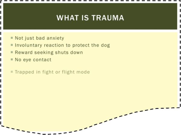Learn how to adopt and settle a rescue dog course screenshot showing a slide titled: what is trauma, slide has words appearing from below.