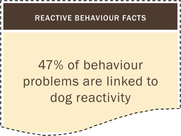 How to Solve Reactive Dog Behaviour course screenshot saying 47% of behaviour problems are linked to dog reactivity