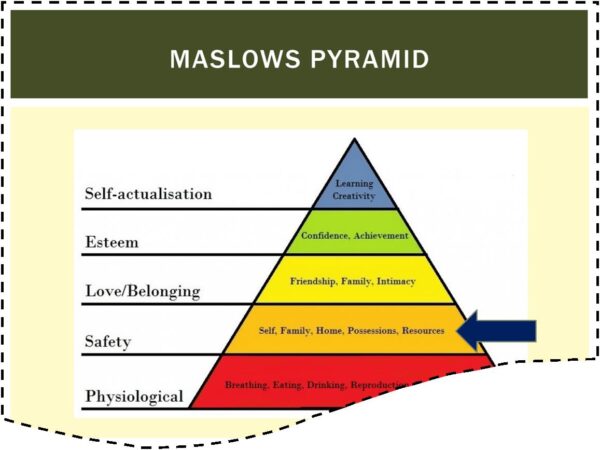 Learn how to adopt and settle a rescue dog course screenshot of maslows pyramid of needs