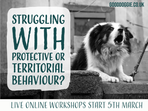 Territorial and Protective Dog Behaviour, Live Online Workshops