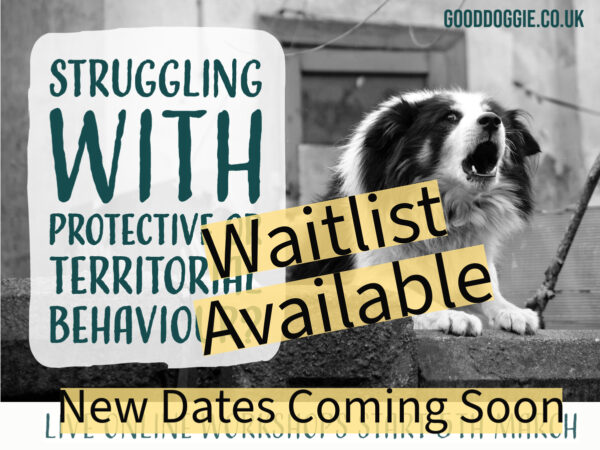 Territorial and Protective Dog Behaviour, Live Online Workshops